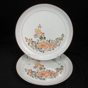 2 beautiful dinner plates. Denby UK Stoneware Summer Fields